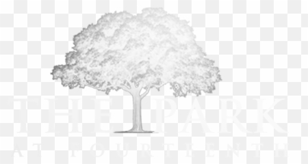 Jay Z 444 The Park Transparent PNG