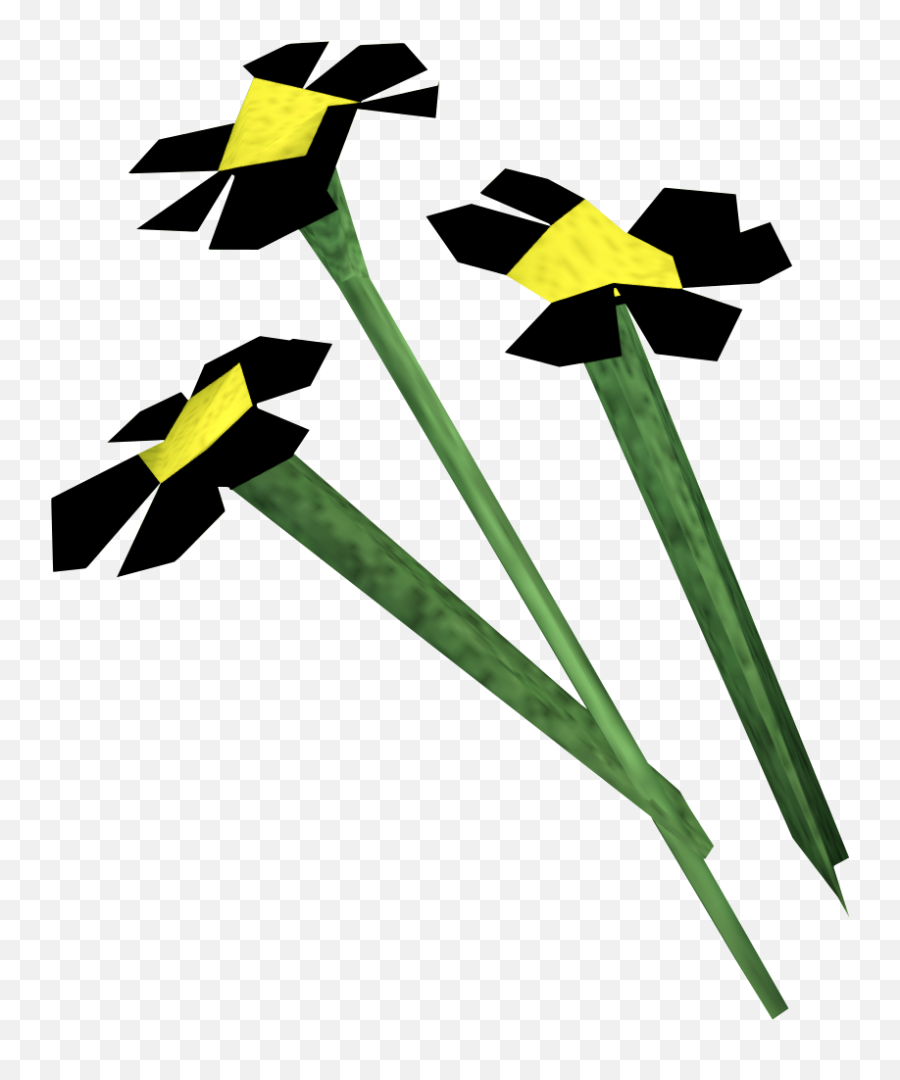 Black Flowers - Osrs Flowers Png,Black Flower Png