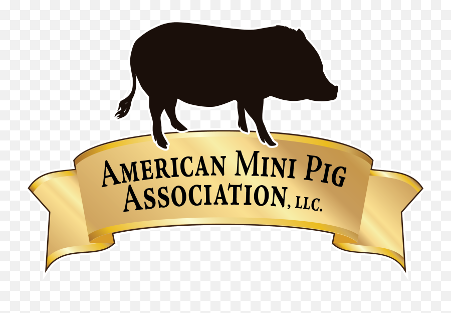 Short Logo Full Color - Clip Art Png,Pig Transparent