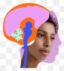 Biopharmaceutical Company For Disorders Of The Brain Sage - Illustration Png,Sage Png