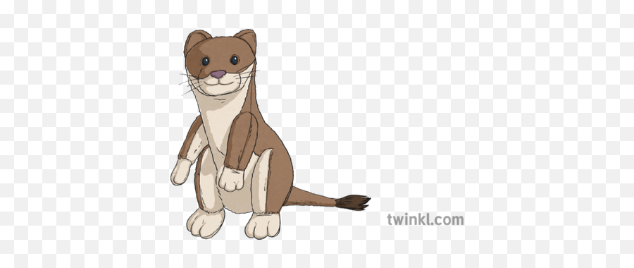 Stuffed Weasel Toy Plush Kids Fluffy Animal Forces Science - Stoat Png,Weasel Png