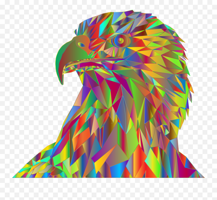 Eaglebirdbald Eagle Png Clipart - Royalty Free Svg Png Bald Eagle,Bald Eagle Png