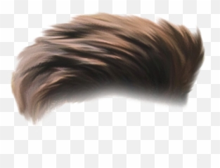 Hair Png Transparent Images Pictures - Hair Png Hd,Hair Png