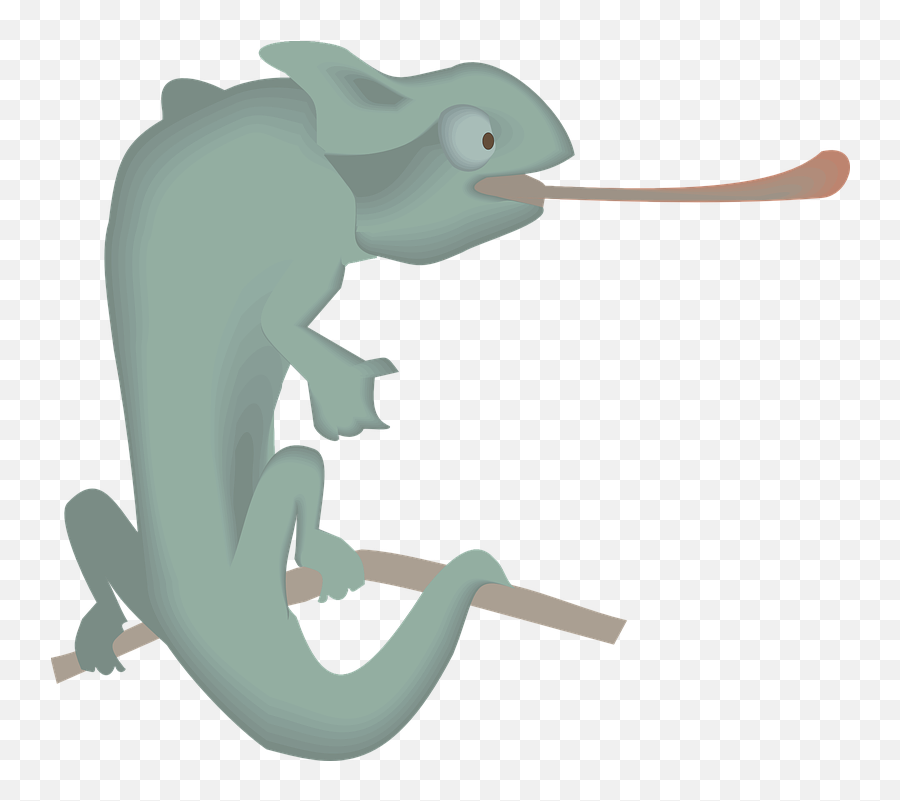 Branch Green Chameleon - Free Vector Graphic On Pixabay Adaptation Of A Chameleon Png,Chameleon Png