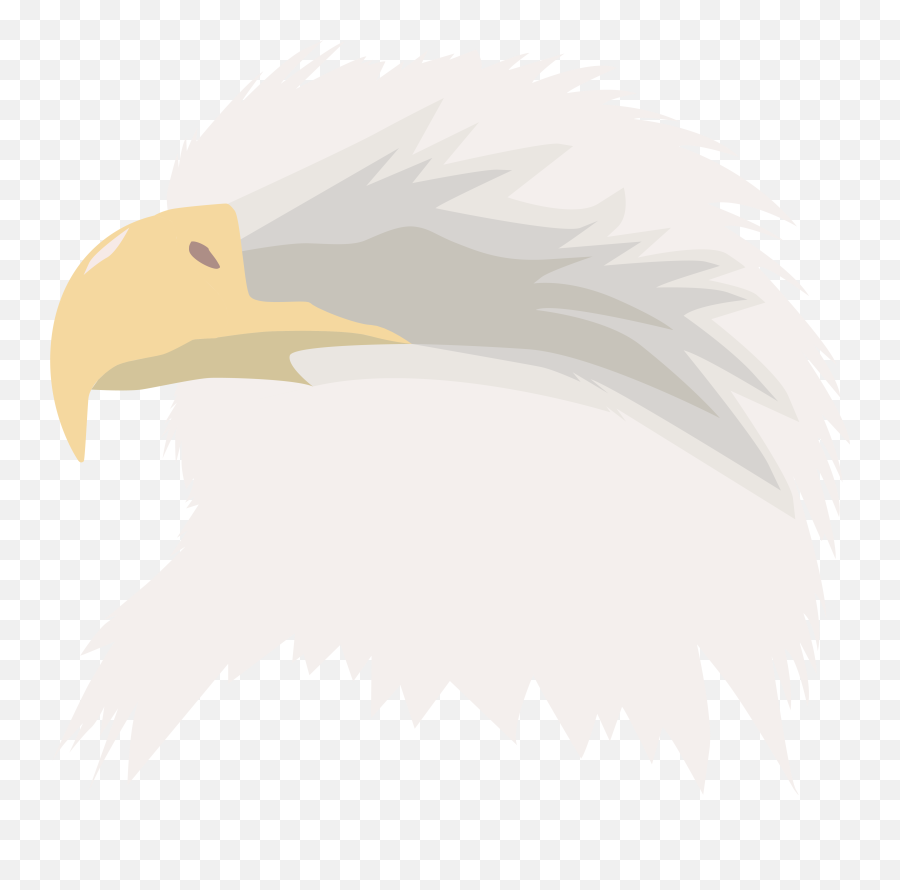 Mpgh - Multiplayer Game Hacking U0026 Cheats Bald Eagle Png,Eagle Logo Images