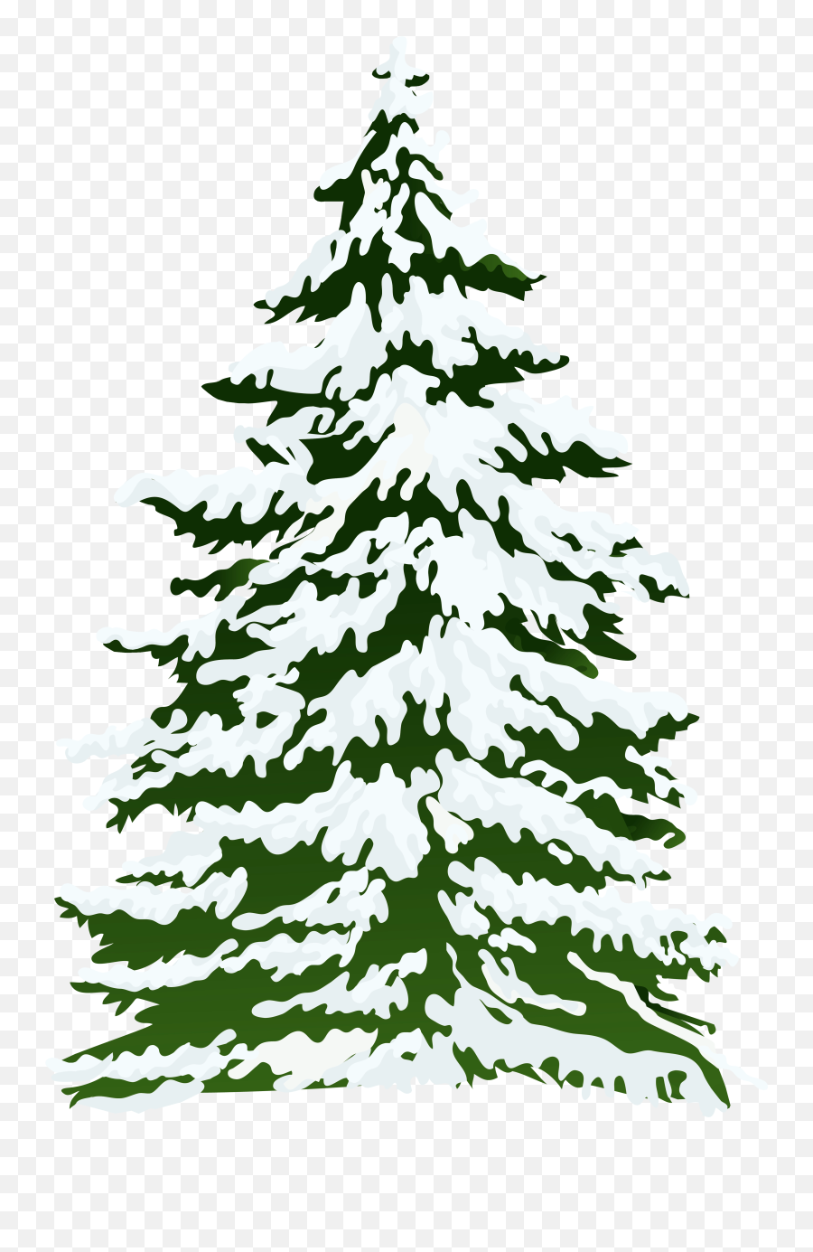 Download Free Png Pine Tree Freeuse Stock Outline - Rr Snowy Pine Tree Watercolor,Pine Tree Png