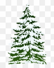 Download Free Png Pine Tree Freeuse Stock Outline - Rr Snowy Pine Tree Watercolor,Pine Tree Png