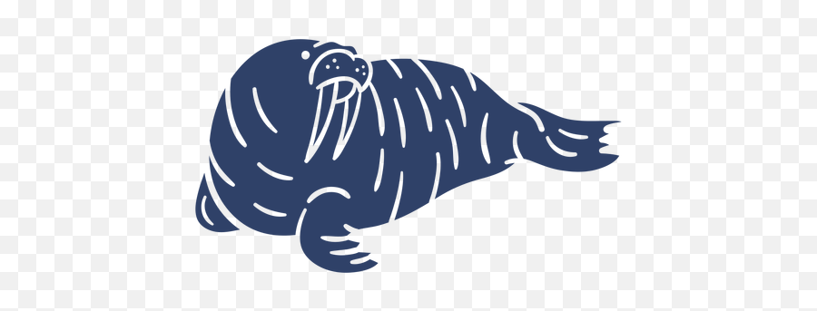 Arctic Walrus Blue - Transparent Png U0026 Svg Vector File Illustration,Walrus Png