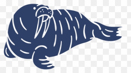 Arctic Walrus Blue - Transparent Png U0026 Svg Vector File Illustration,Walrus Png