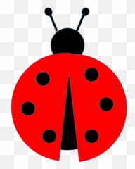 Download Ladybug Hq Png Image Freepngimg - Ladybug,Lady Bug Png