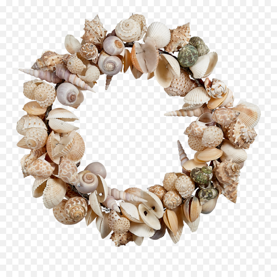 Download Free Png 11 Shell Wreath - Large Seashells Dlpngcom Unique Wreaths,Seashells Png