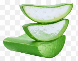 Aloe Vera Gel Png Picture - Gel Aloe Vera Png,Aloe Vera Png