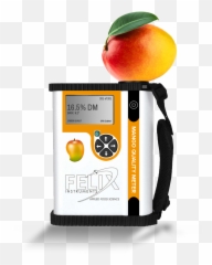 F - Felix F 751 Png,Mango Transparent