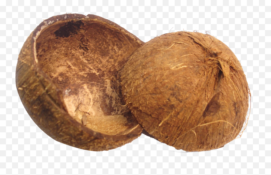 Download Coconut Shell Png Image For Free - Coconut Shell Png,Coconut Transparent
