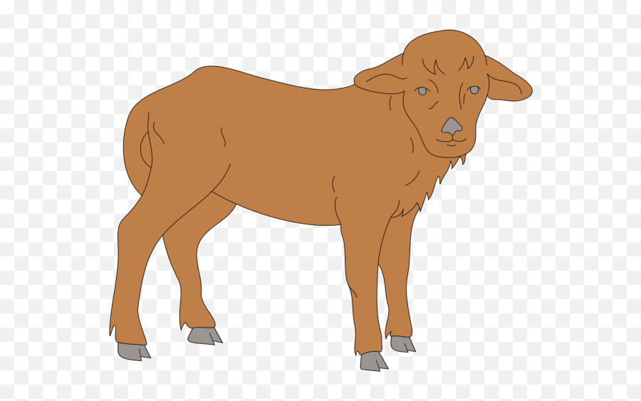 Furry Calf Png Svg Clip Art For Web - Download Clip Art Baby Hooves,Furry Png
