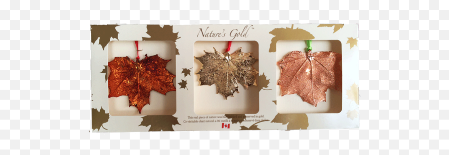 Maple Leaf Brooch - Copper Made In Canada Gifts Canada Gifts Png,Maple Leaf Transparent