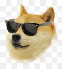 Free Transparent Shiba Inu Png Download - Doge Sunglasses