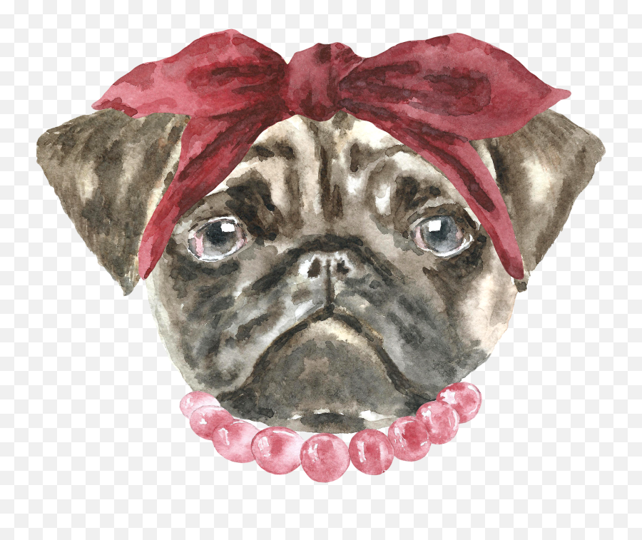 Pug Dog Art Funny Print Animal Png