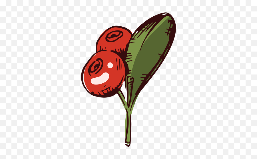 Thanksgiving Cranberries Illustration - Transparent Png Fresh,Cranberries Png