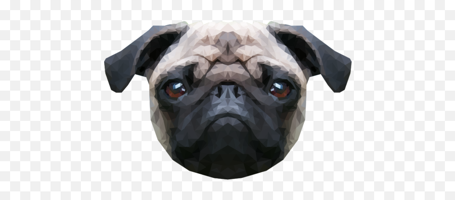 Tumblr Pug Png 5 Image - Pug Dog Head Png,Pug Transparent Background