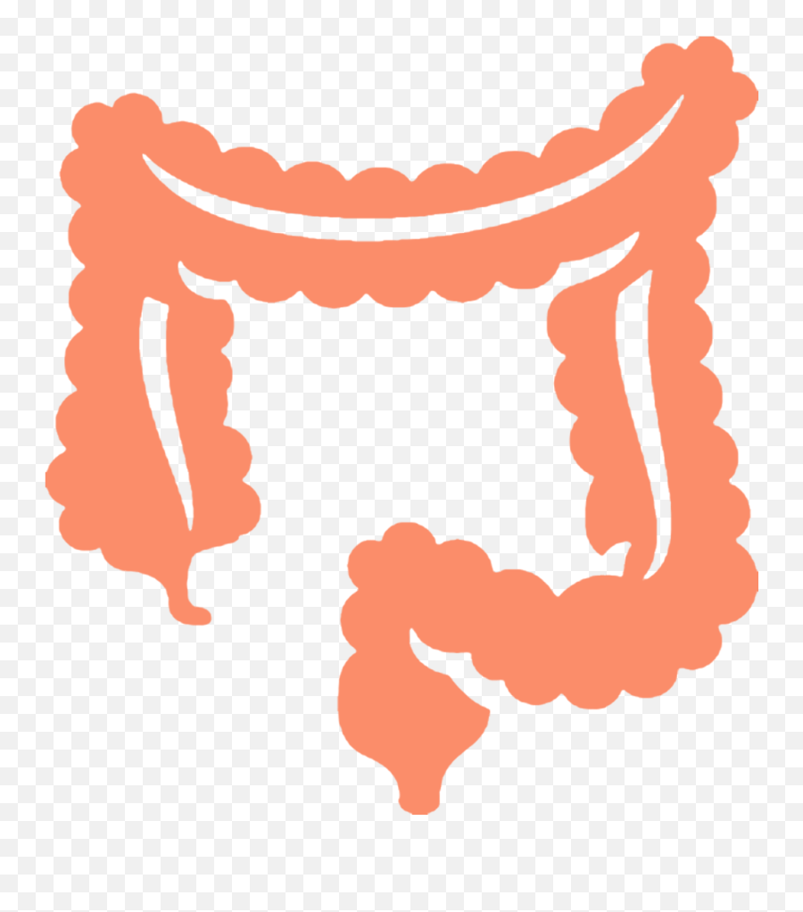 Home - Ppkk Colorectal Icon Png,Colon Icon