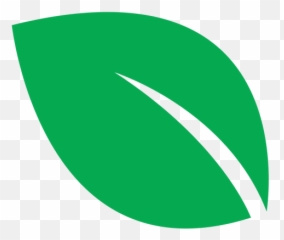 Green Leaf Big Icon Transparent Png U0026 Svg Vector - Kélonia