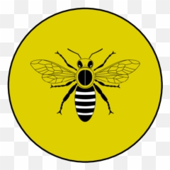 How To Sell Honey - Bee Black And White Clipart png