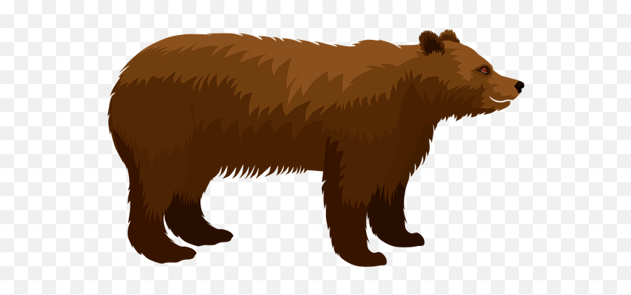 200 Free Grizzly Bear U0026 Images - Bears Png,Angry Bear Icon