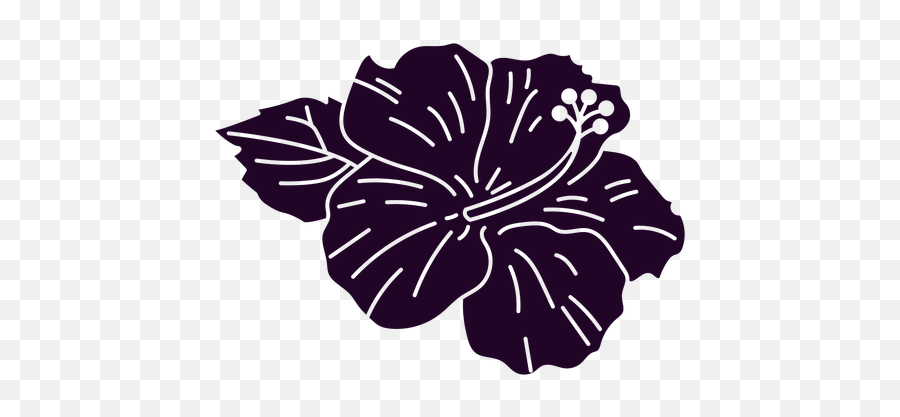 Hibiscus Graphics To Download - Decorative Png,Hibiscus Icon