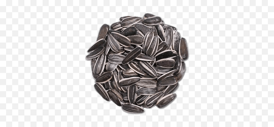 Circular Pile Of Sunflower Seeds - Striped Sunflower Seeds Png,Seed Png
