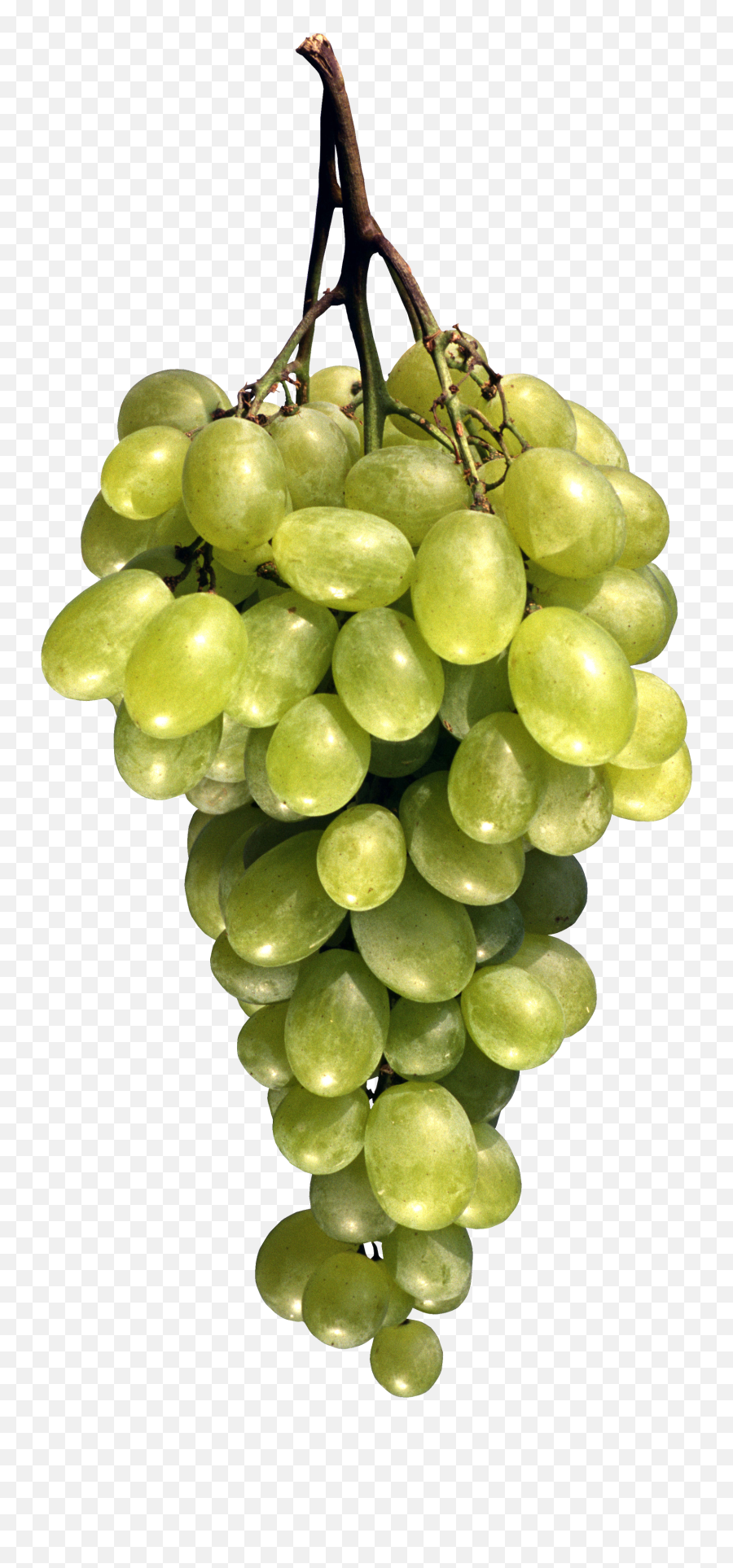 Grape Png Image Download Free Picture - Fruit Images Png,Fruit Png Images