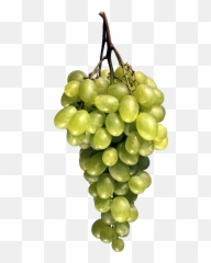 Grape Png Image Download Free Picture - Fruit Images