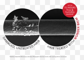 Perfectly Perfecting Wonder Balm Hair - Gwanghwamun Gate Png,Hair Strand Png