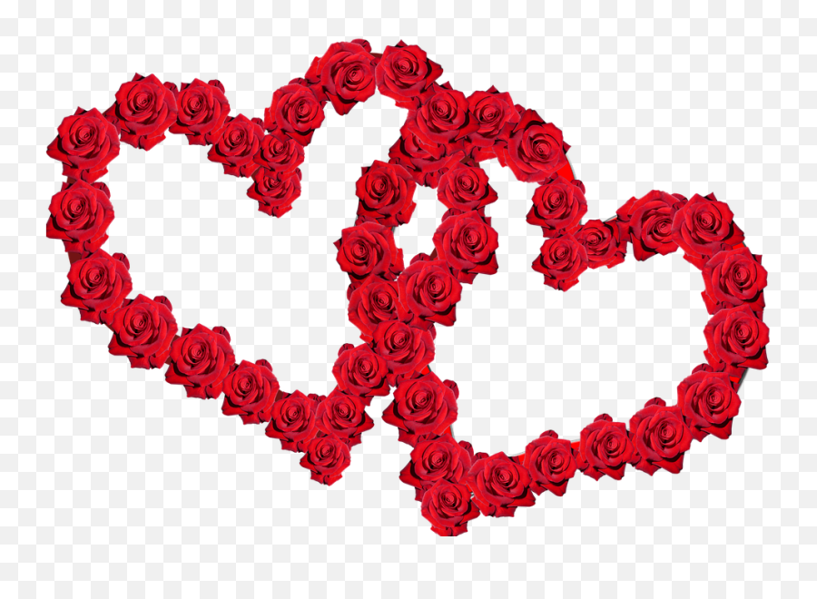 Valentine Red Roses Heart - Coração De Rosas Png,Rose Heart Png