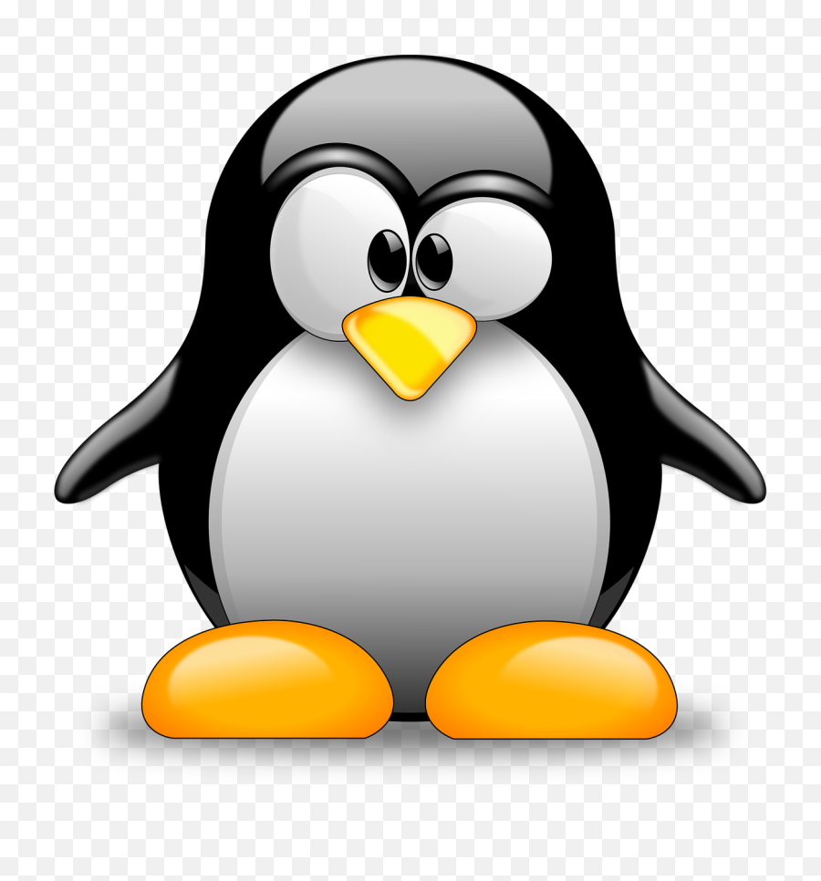 Download T - Shirt Tuxedo Penguin Free Download Png Hq Hq Png Tux Penguin Cartoon,Scrunchie Png