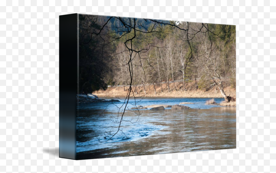 Branches W Clarion River In The Background No By Stephen - Picture Frame Png,River Transparent Background