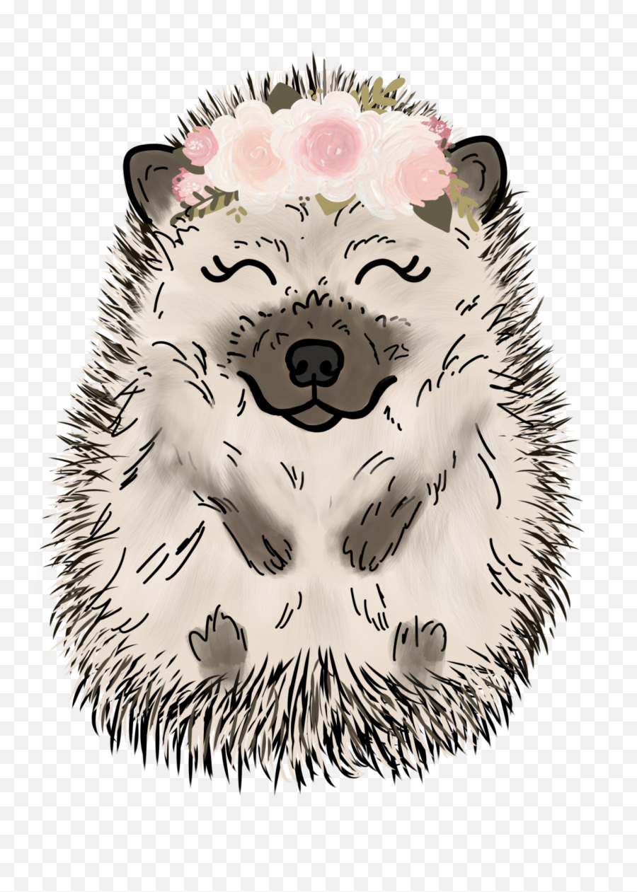 Hedgehog In Spring Wallpapers - Wallpaper Cave Domesticated Hedgehog Png,Hedgehog Transparent Background