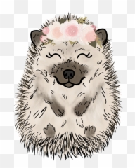 Hedgehog In Spring Wallpapers - Wallpaper Cave Domesticated Hedgehog Png,Hedgehog Transparent Background