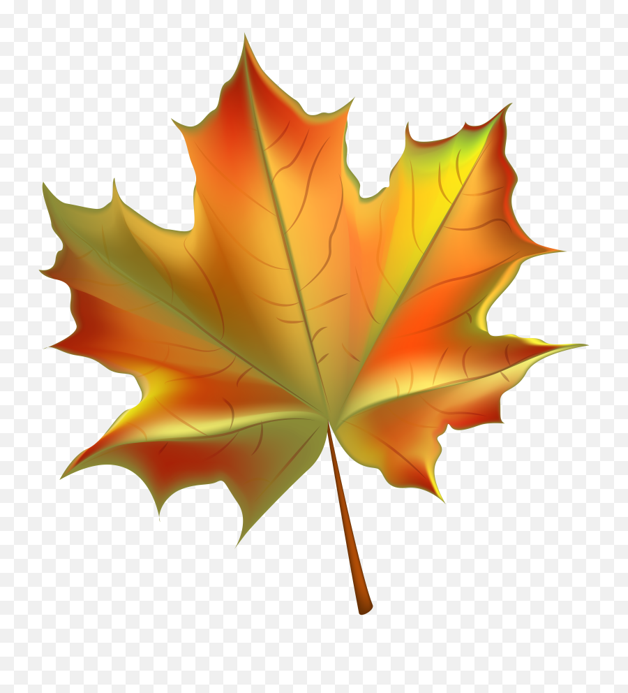 Leaf Pile Png - Leaves Clipart Clear Background Transparent Background Fall Leaf Clipart,Leaves Clipart Png