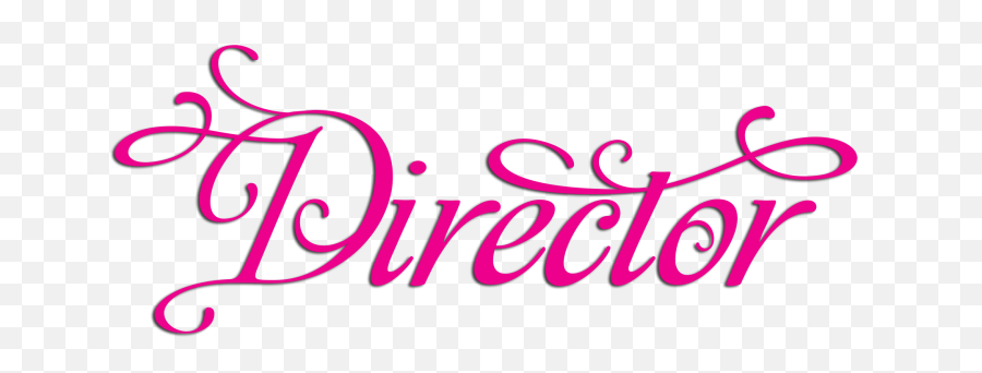 Jewellery Clothing Accessories - Paparazzi Director Logo Png,Paparazzi Png