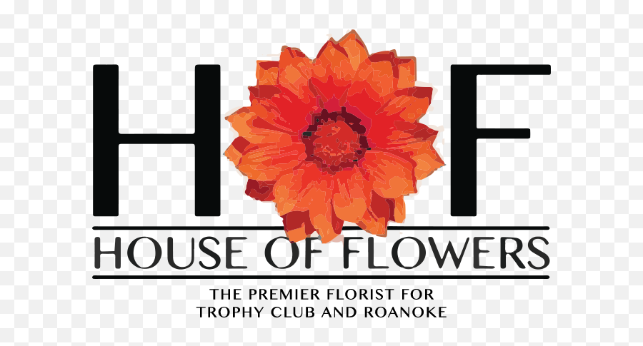 About Us House Of Flowers Dfw - Barberton Daisy Png,Flowers Logo