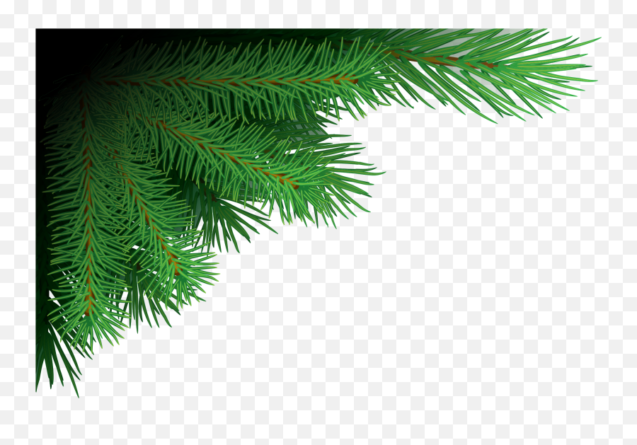 Tree Branches Png Image Free Download - Christmas Tree Branches Png,Branches Png