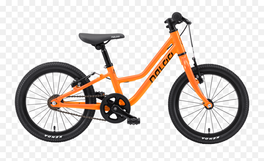 Chameleon Naloobikescom - Bikes Für Kids Bike Frog Orange Png,Chameleon Png