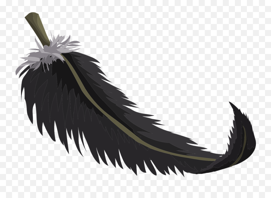 Black Feather Plumage - Schwarze Feder Clipart Png,Black Feather Png