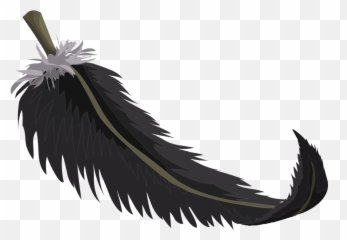 Black Feather Plumage - Schwarze Feder Clipart Png,Black Feather Png