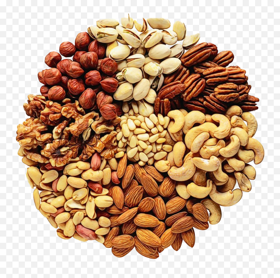 Nuts Png Transparent Images - Museum Of Pop Culture,Nut Png