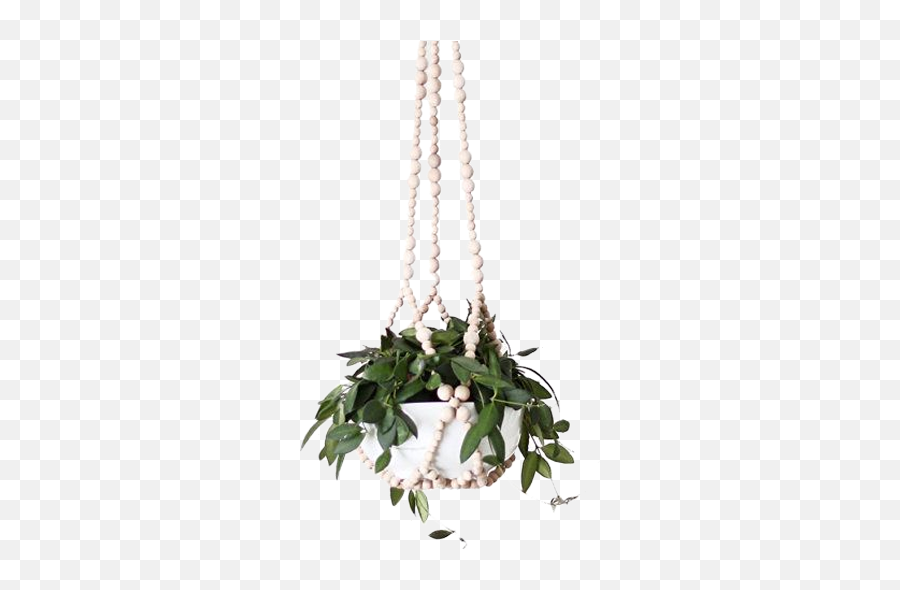 Modern Beaded Hanging Planter - Beaded Hanging Planter Png,Hanging Plants Png