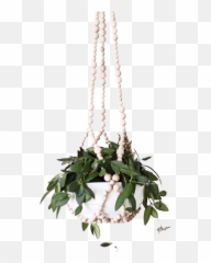Modern Beaded Hanging Planter - Beaded Hanging Planter Png,Hanging Plants Png