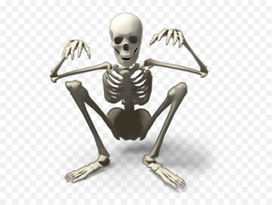 Skeleton Png Free Download 8 Images - Skeleton Icons,Skeleton Png Transparent
