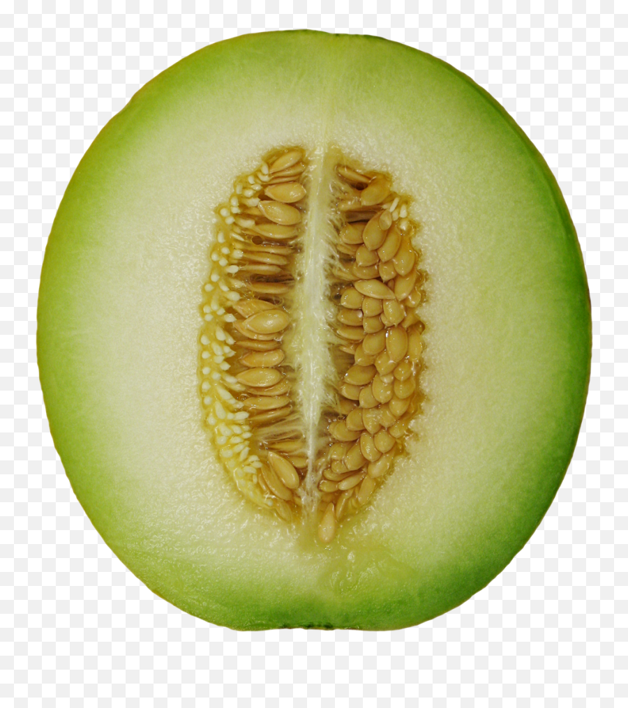 Download Winter Melon Png Image For Free - Winter Melon Png,Melon Png